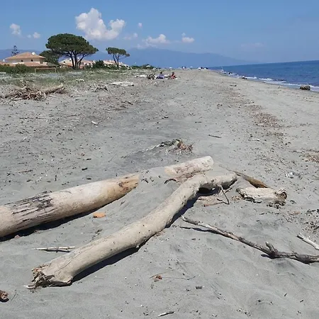 Stella Baggia - Jacuzzi - Proche De La * Lucciana (Corsica)