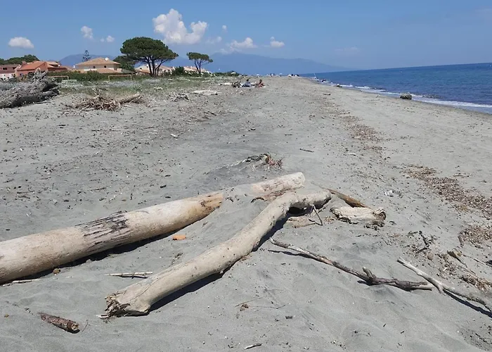 Stella Baggia - Jacuzzi - Proche De La * Lucciana (Corsica)